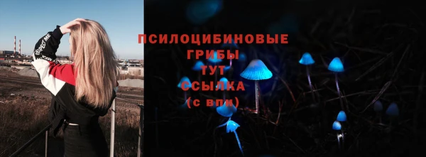 MDMA Premium VHQ Бородино