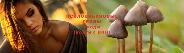 мескалин Бронницы
