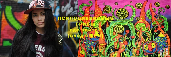 индика Верея