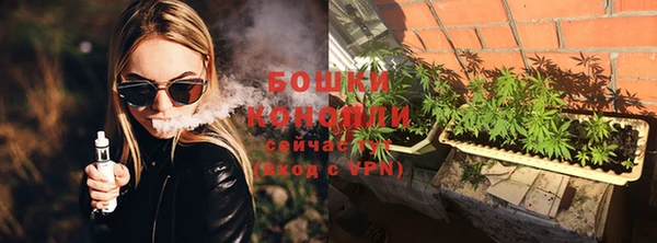 индика Верея